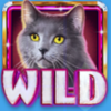 kitty glitter grand wild 6 symbol