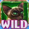 kitty glitter grand wild 7 symbol