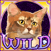 kitty glitter wild3 symbol