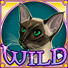 kitty glitter wild4 symbol