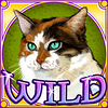 kitty glitter wild6 symbol