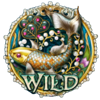 koi koi treasure symbol wild