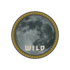 lady of the moon wild symbol