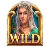 land of riches wild 3 symbol
