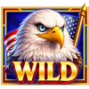 liberty fireworks wild symbol