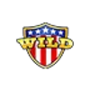 liberty rockets wild symbol