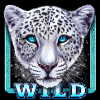 lightning leopard wild symbol