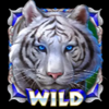 lightning tiger wild symbol