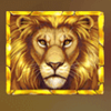 lion gold lion wild symbol