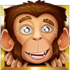 loco the monkey wild symbol