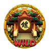 longmen express wild symbol
