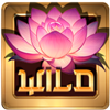 lotus geisha wild symbol