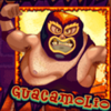lucha libre wild 1 symbol