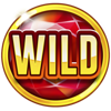 lucky 1spin4win hold and win wild symbol