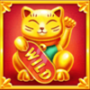 lucky asia wild symbol