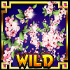 lucky cat wild symbol