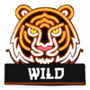 lucky fruity coin wild symbol