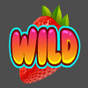 macaw gaming fruit wild symbol