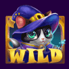 magic kitty wild symbol
