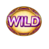 magic treasures tiger wild 2 symbol