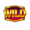 magic treasures tiger wild symbol
