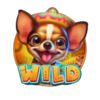 magnet storm chili chihuahua wild symbol