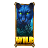 majestic blue panther symbol symbol wild