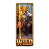 majestic odin wild symbol