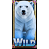 majestic polar bear wild symbol
