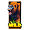 majestic silverback wild symbol