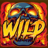 max fury wild symbol