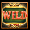medieval crusades wild symbol