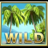 mega fortune dreams wild symbol