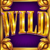 mega money machine lightning blitz wild symbol