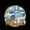 mega rich wild 1 symbol