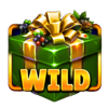 mega wild fruits xmas wild symbol