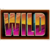 megacity football fever wild symbol