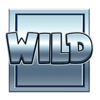 megaways respin wild symbol