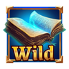merlins mania wild 1 symbol