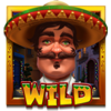 mexican ways wild symbol