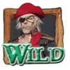 mga pirate adventures wild symbol