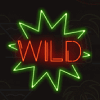 miami multiplier wild symbol