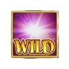 midas fortune wild symbol
