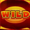 midnight fiesta wild 2 symbol