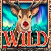 million christmas 2023 wild symbol