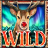 million christmas 2 wild symbol