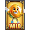 mister cashmore wild symbol