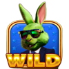 money bunny wild symbol