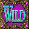 moon warriors wild symbol