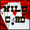 mr caribbean wild symbol